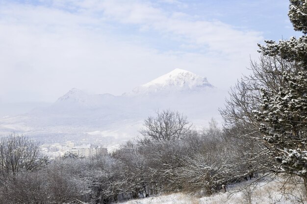 De bergen zijn bedekt met sneeuw. Winterlandschap