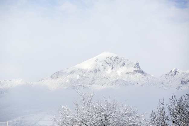 De bergen zijn bedekt met sneeuw. Winterlandschap