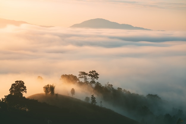 De bergmening van het landschap van Yun Lai Viewpoint met mist in Pai Thailand