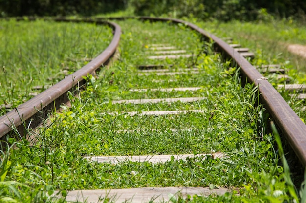 De bergtrein vertrekt door het bos voorbij de horizon