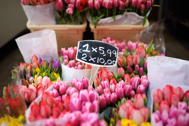 De beroemde Amsterdamse bloemenmarkt (Bloemenmarkt)