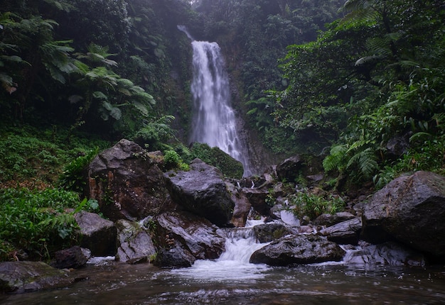 De betoverende Saderi-waterval ligt in Bogor, West-Java, Indonesië