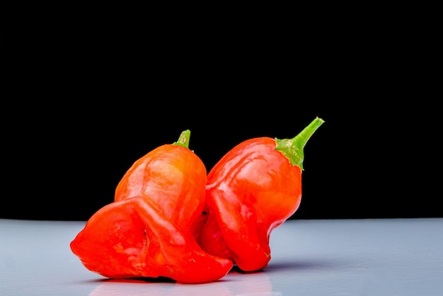 De bisschopskroon Kerstbel of grappenmaker is een peper een cultivar van de soort Capsicum baccatum var pendulum