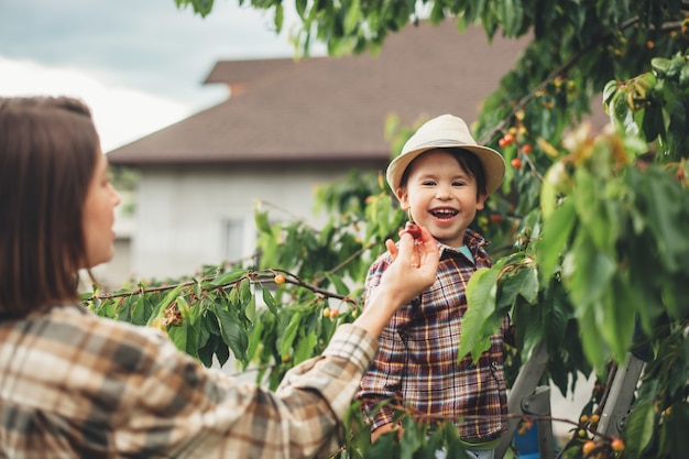 De blanke moeder en haar zoon die een hoed dragen, eten kersen in de tuin terwijl ze glimlachen