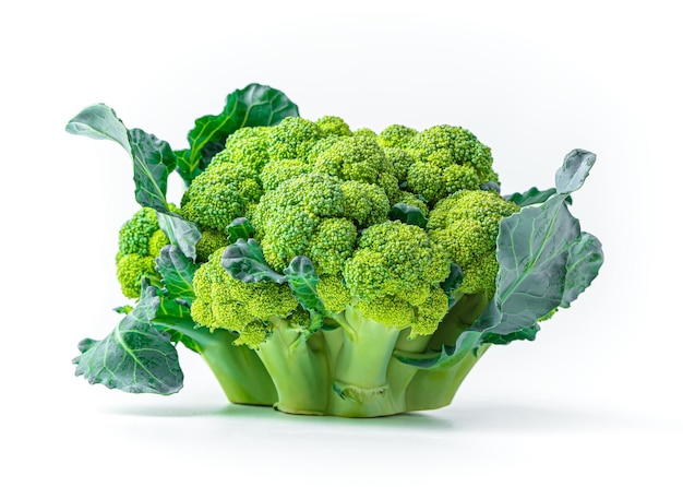 De bloeiwijze van rijpe groene broccoli is geïsoleerd op een witte achtergrond