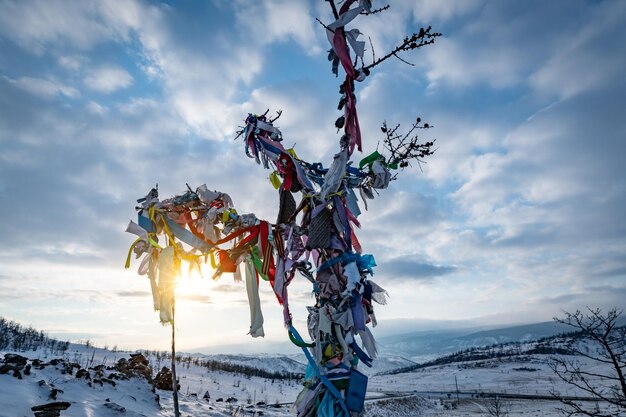 Foto de boeddhisten bidden in bomen.