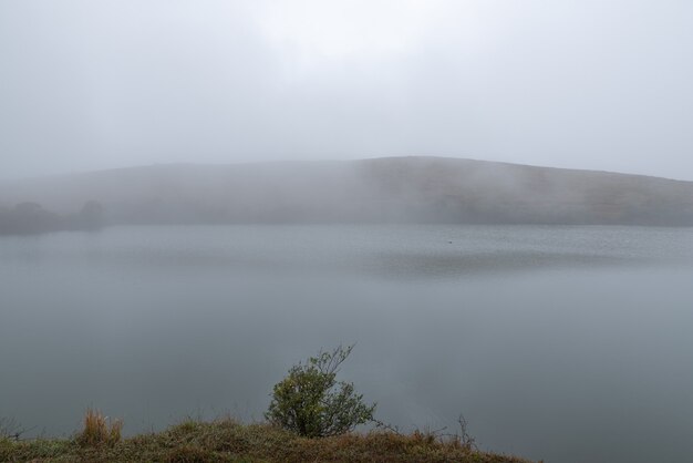 De bomen en graslanden bij het meer waren wazig in de mist