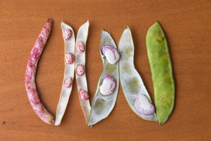 De bonen klaarmaken in de keuken