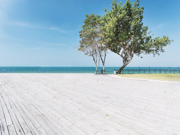 De boom op het strand met panoramisch uitzicht op zee