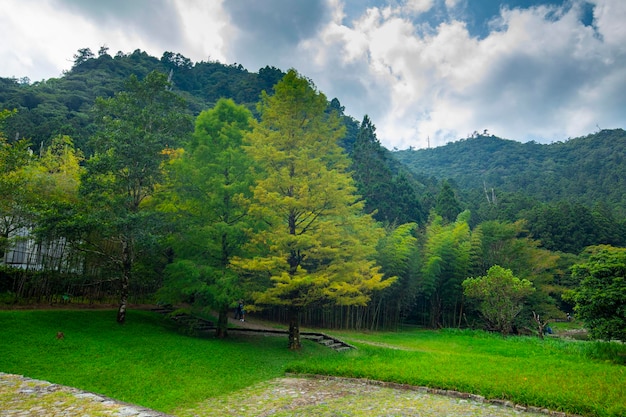 De bos- en bergmeren Mingchi Yilan County Taiwan is een beroemde toeristische attractie