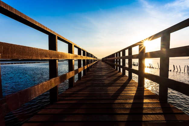 De bosmangrove met houten loopbrug Rode brug en bamboelijn