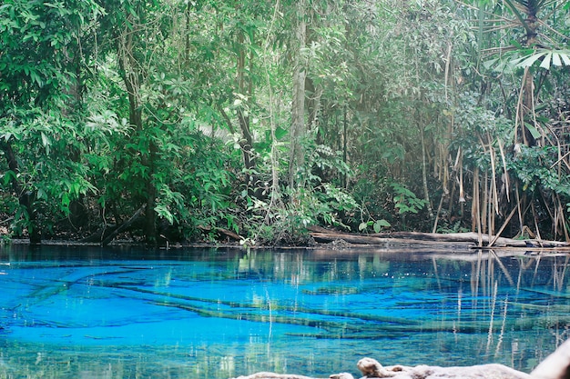 De bossen en lagunes zijn helderblauw water van Thailand.