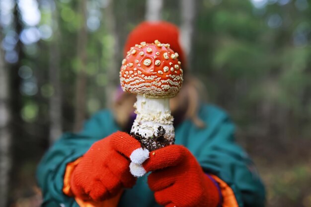 De boswachter verzamelt paddenstoelen in het bos Wilde paddenstoelen oogsten Wandeling naar het bospark met vliegenzwam