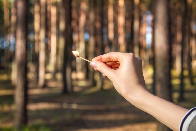 De brandende lucifer in de hand in het houten bos buiten