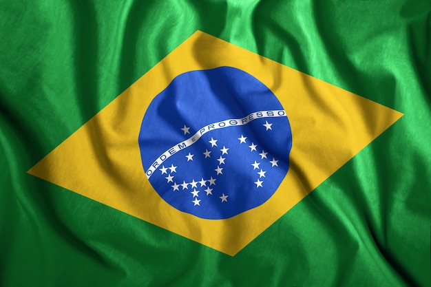 De Braziliaanse vlag