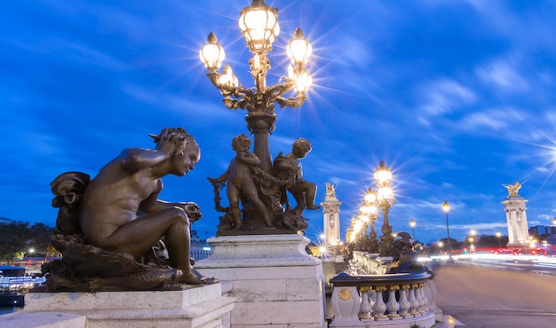 De brug Alexandre III bij nacht Parijs Frankrijk