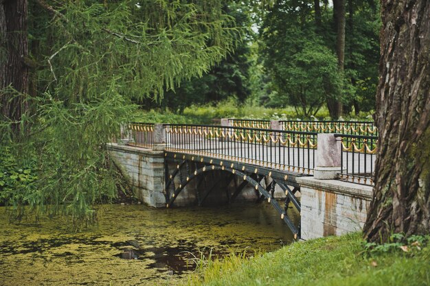 De brug in Catherine Park 1069