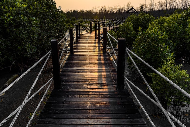 De brug op het meest forrest achtergrond