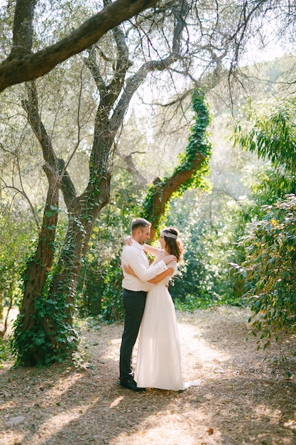 De bruid en bruidegom knuffelen tussen pittoreske bomen bedekt met klimop in het park