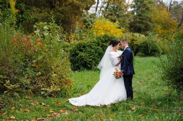 De bruid en bruidegom op de achtergrond van de herfst park