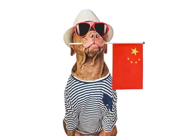 De bruine hoed van de puppyzon en de Vlag van China