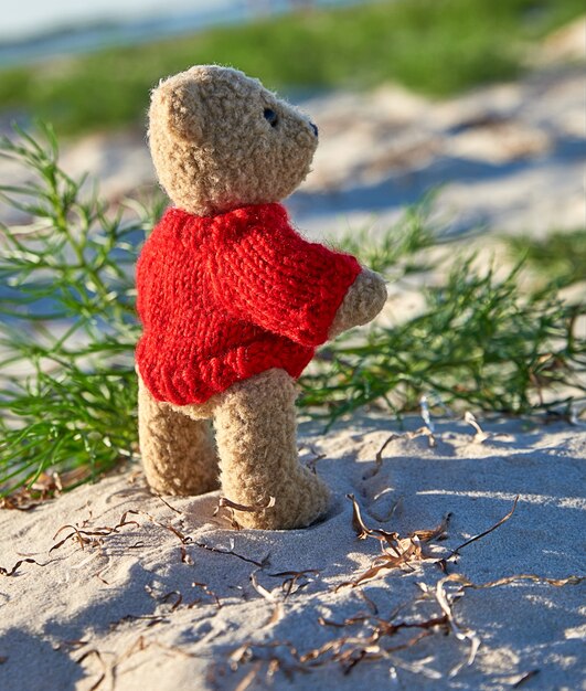 De bruine teddybeer in een rode sweater bevindt zich op de zandige kust