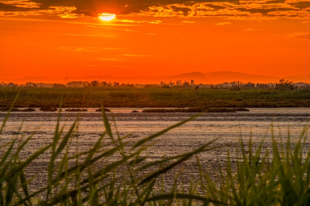 Foto de camargue bij zonsondergang