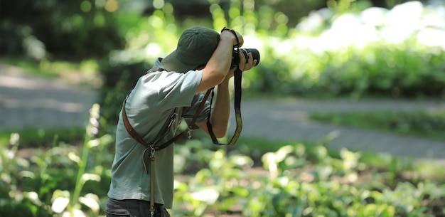 de camera is verborgen in de bladeren