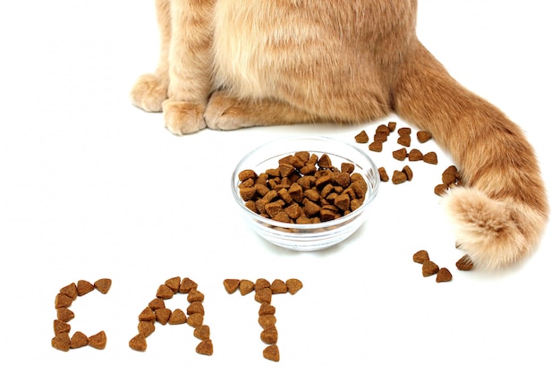 De cat is geschreven met droog kattenvoer. poten en staart van een rode kat in de buurt van een kom van droog kattenvoer.