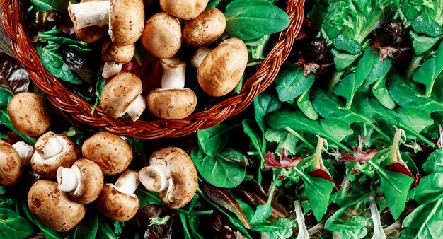 De champignonpaddestoelen, op een verse salade verlaten achtergrond