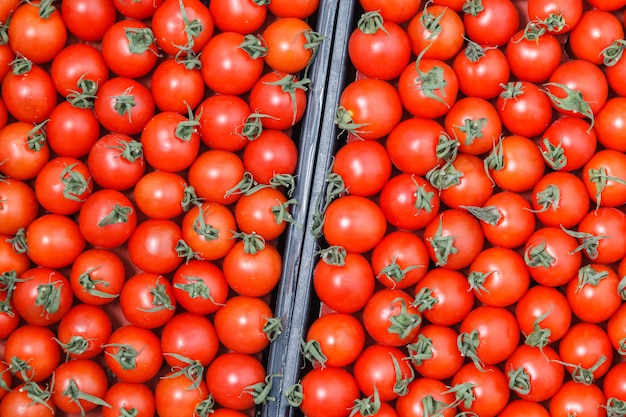 De close-up overvloed rode verse rijpe kersentomaten samen met stammen wachten op distributie in doos op landbouwersmarkt.