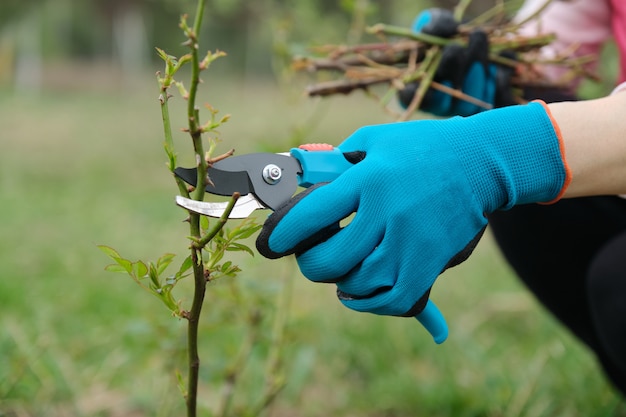 De close-up van tuinlieden dient beschermende handschoenen met tuin pruner in