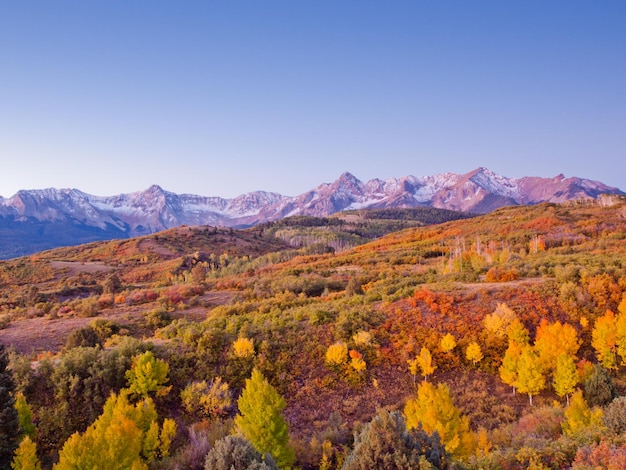 De Dallas Divide is een icoon uit Colorado, bekend om zijn levendige herfstkleuren geproduceerd door struikgewas en espen.