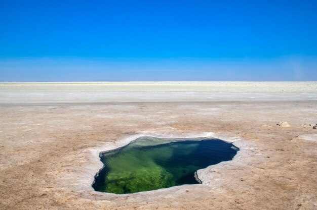 De Danakil-depressie Het noordelijke deel van de Afar-driehoek in Ethiopië