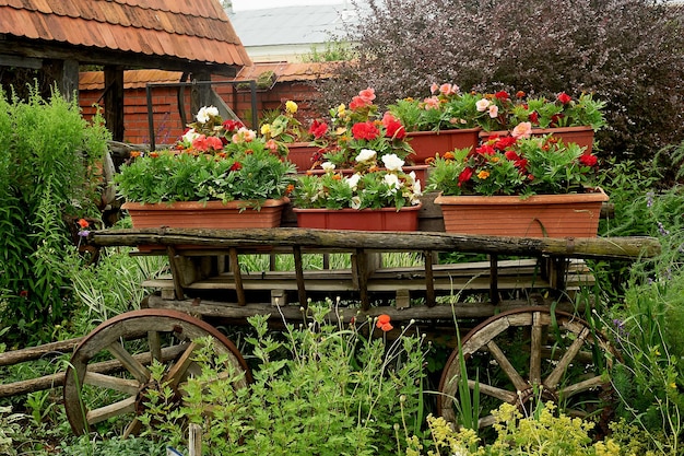 De decoratie en inrichting van de tuin Een houten oude wagen en potten met bloemenFloristics