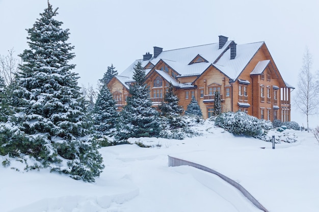 De den is bedekt met sneeuw in de buurt van het huis in Mezhyhiria. Pijnboom in de sneeuw bij het huis.