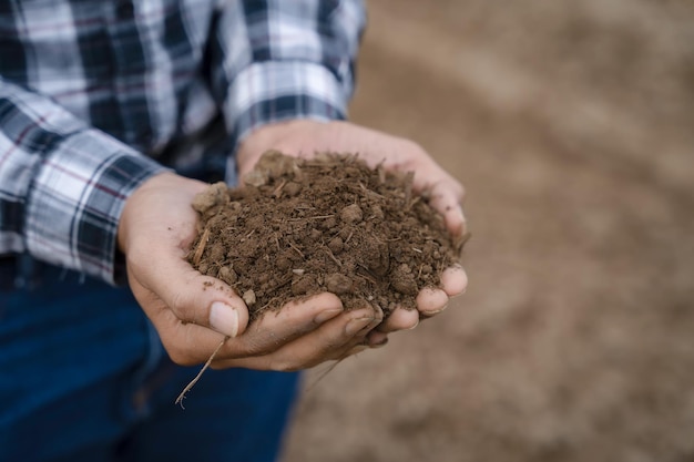 De deskundige handen van boeren controleren de gezondheid van de bodem voordat ze groentezaden of zaailingen planten Zakelijk idee of ecologie