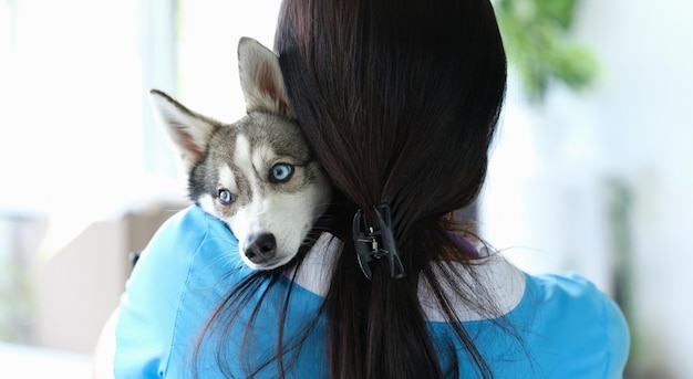 Foto de dierenarts staat met zijn rug en houdt een mooie kleine husky hond in zijn armen.