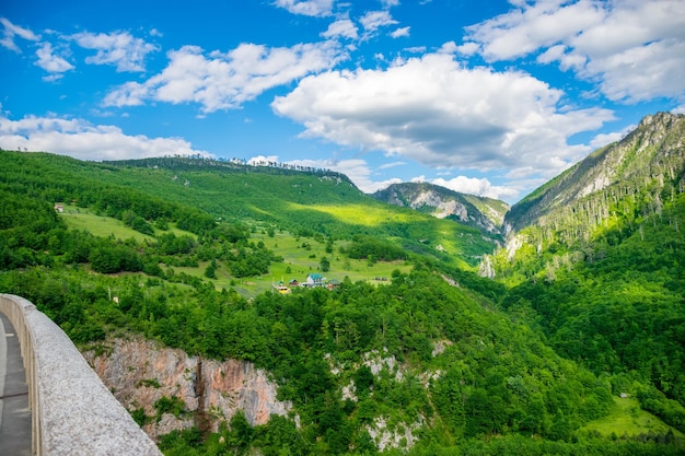 De Djurdjevic-brug doorkruist de kloof van de rivier de Tara in het noorden van Montenegro