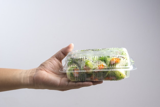 De doos van de handholding van plantaardig Hydrocultuur Vegetarijnsaladebroodje