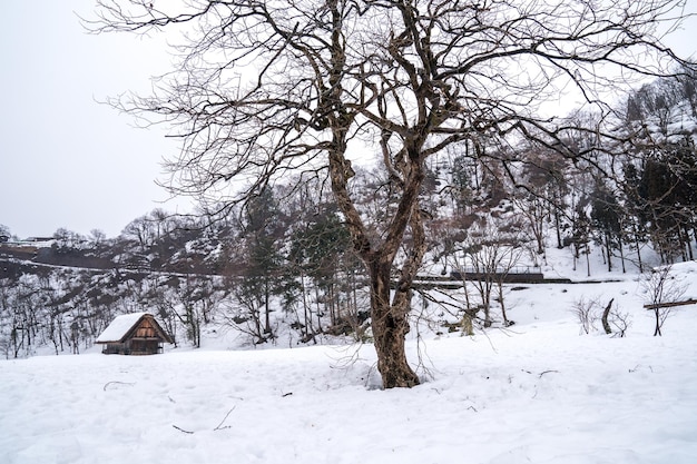 De dorpen Shirakawago en Gokayama behoren tot de UNESCO-werelderfgoederen van Japan. Boerderij in het dorp en de bergen erachter.