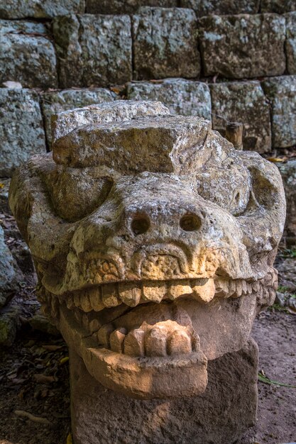 De draak van de astronomische piramide van de tempels van copan ruinas. honduras