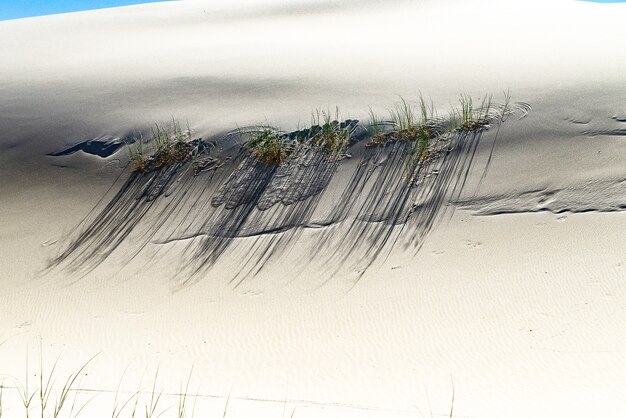 De duinen van het strand van Joaquina in Florianopolis hebben een van de mooiste uitzichten op het eiland