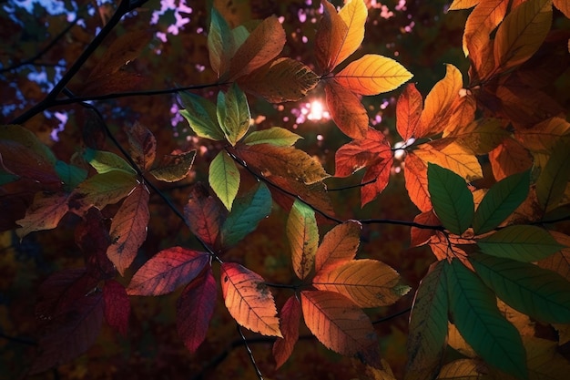 De eerste aanwijzingen van de herfst als de bladeren op de bomen beginnen hun kleuren te veranderen