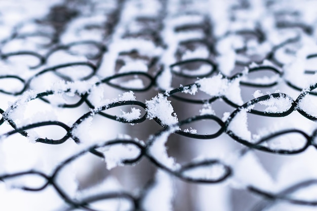 De eerste nachtvorst, het begin van de winter. Vorst op een metalen gaas hek. Verticale foto.