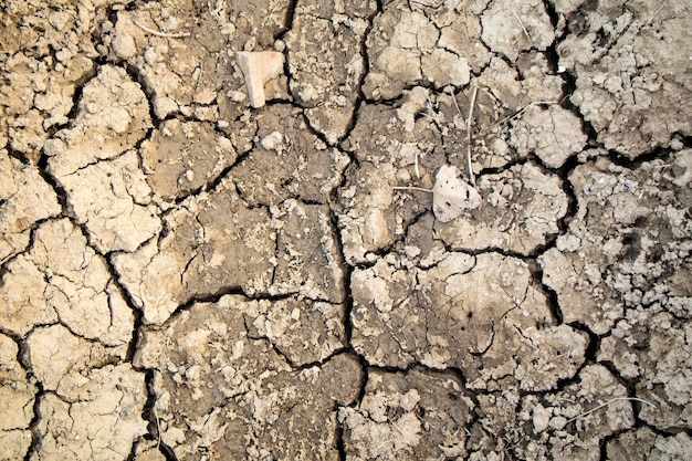 De effecten van droogte op de aarde