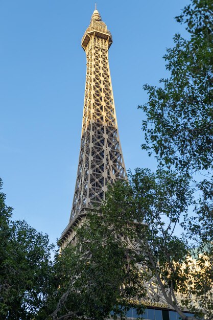 De Eiffeltoren vanaf het park