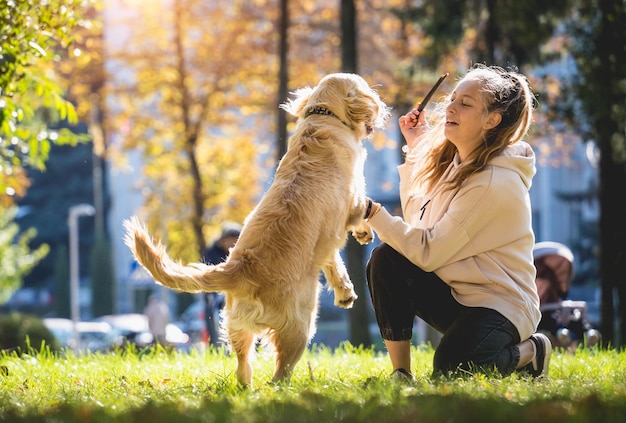 De eigenaar speelt de golden retriever-hond in het park