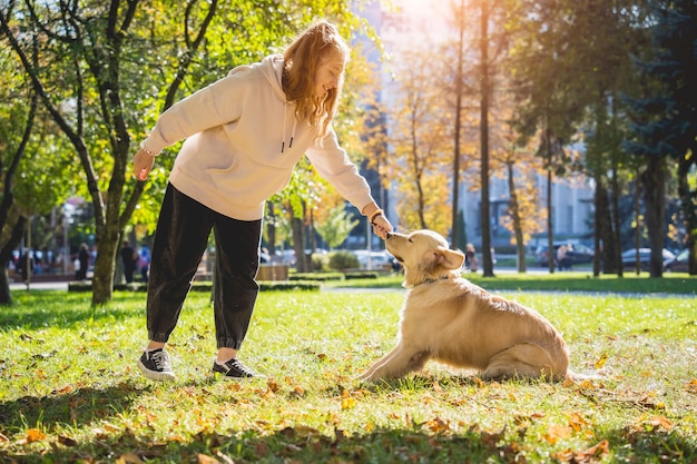 De eigenaar speelt de golden retriever-hond in het park