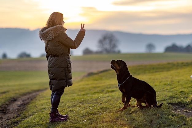 De eigenaar traint de rottweiler tijdens een avondwandeling